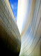 Walt Disney Concert Hall