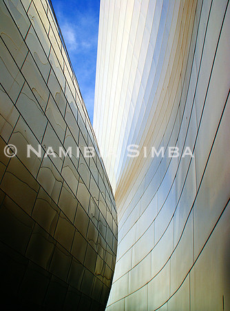 Walt Disney Concert Hall