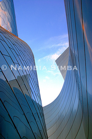 Walt Disney Concert Hall