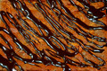 Brownies
