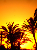 Santa Monica Sunset