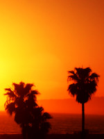 Santa Monica Sunset