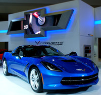 Stingray