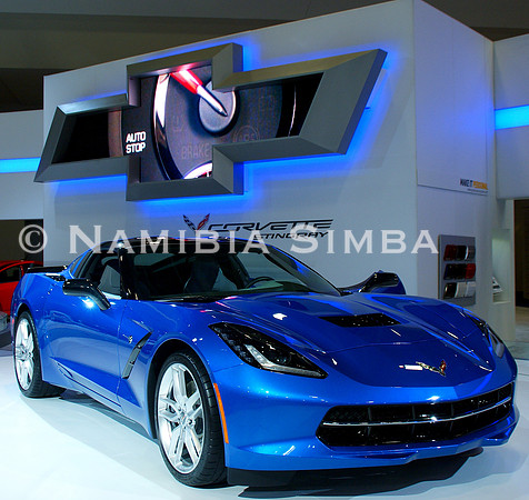 Stingray