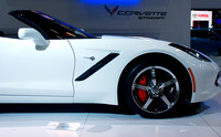 Stingray