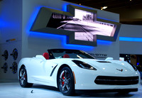 Stingray